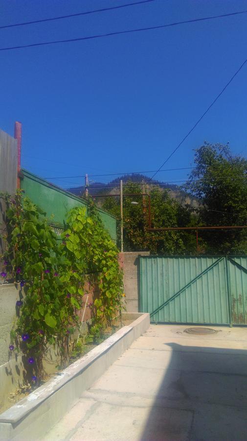 Guest House Anastasia Боржоми Екстериор снимка